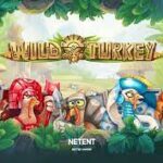 Multiplier Wilds