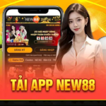 tải app New88